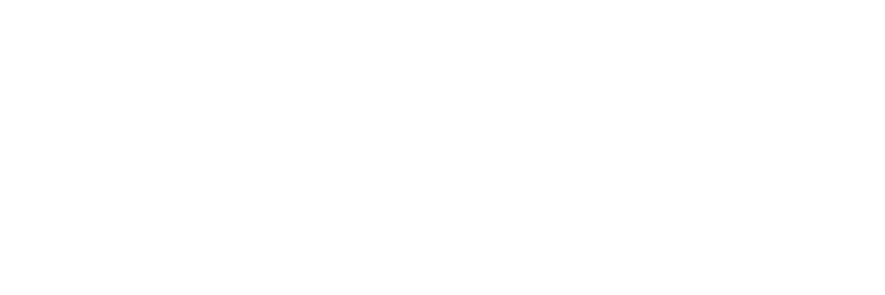 Wixur white logo